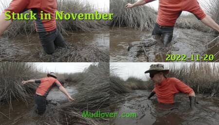 Stuck in November, 2022-11-20