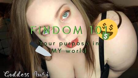 Findom 101 : Your Purpose in My World